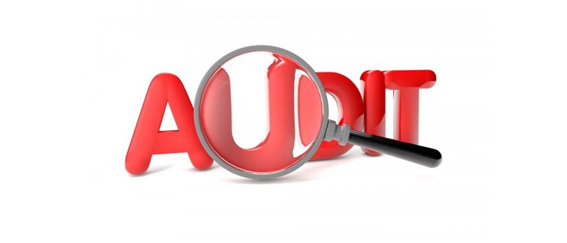 Software Auditing